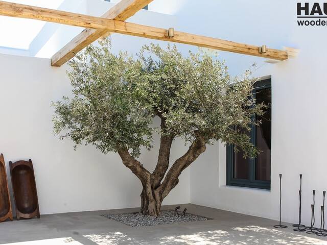 Branco Hotel Mykonos