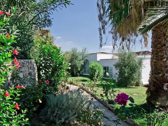Kavos Naxos Hotel