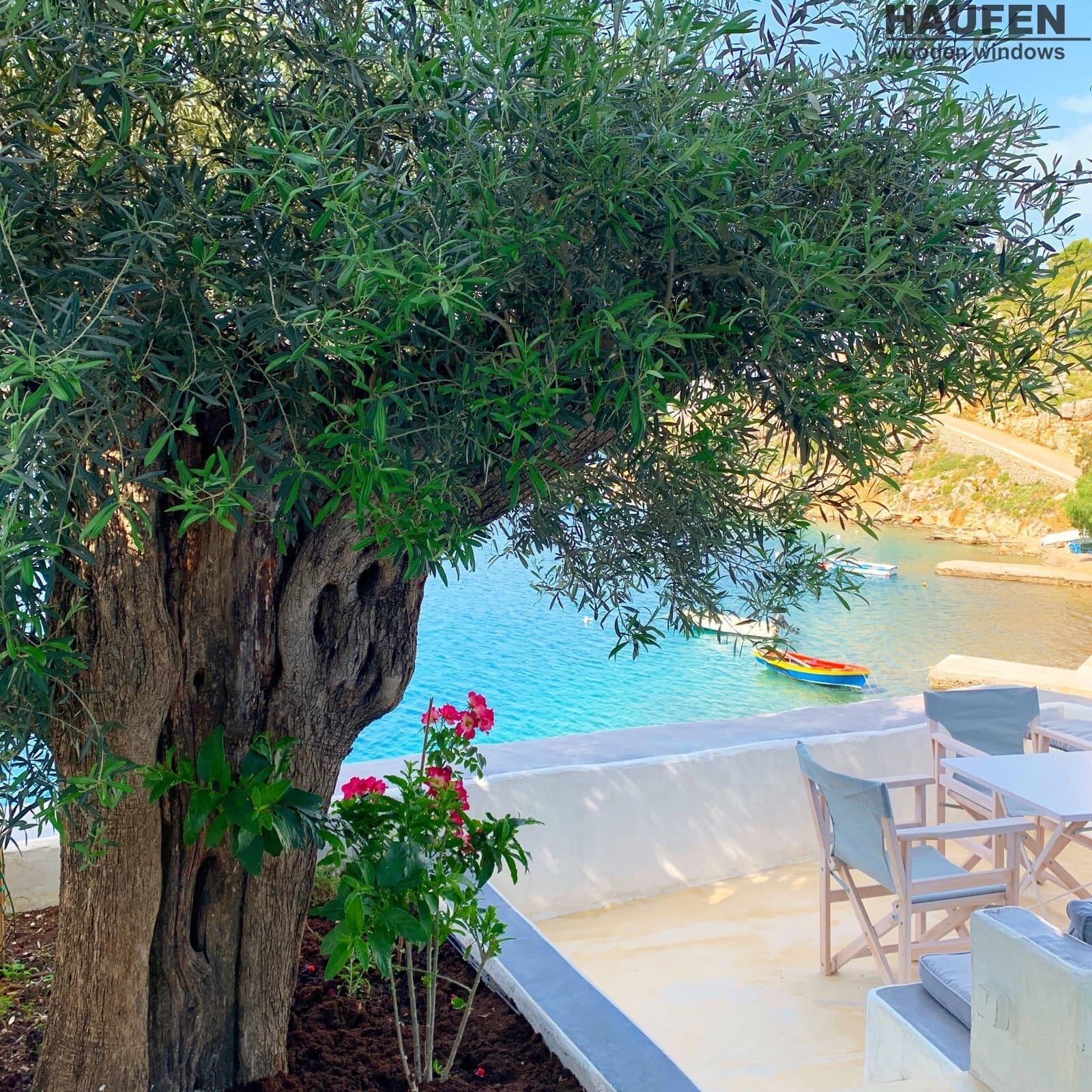 Pelagos Seaside Suites, Symi