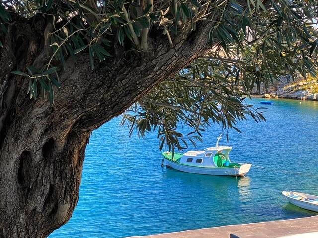 Pelagos Seaside Suites, Symi