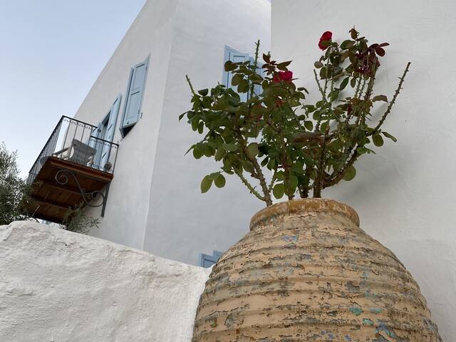 Pelagos Seaside Suites, Symi